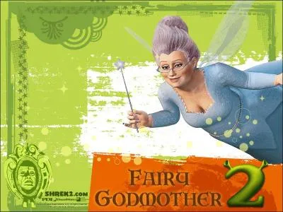 Que dsire Marraine la bonne fe pour son fils ?