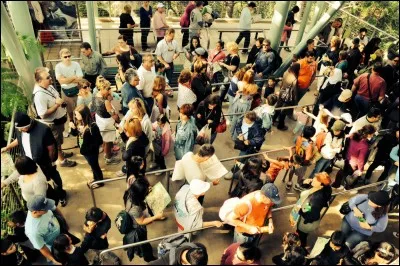 Quel est le détail qui t'insupporte le plus dans ces parcs ?