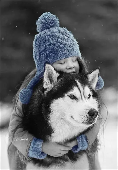 Quel animal est "en hiver" dans le titre du livre d'Antoine Blondin ?