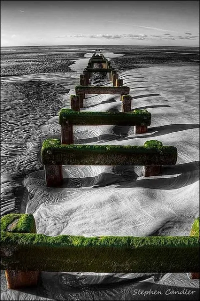 Quels monstres sacrés se partagent l'affiche dans "Un singe en hiver" ?