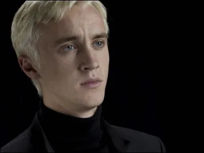 Quelle est la théorie la plus plausible et la plus connue sur Drago Malefoy ?