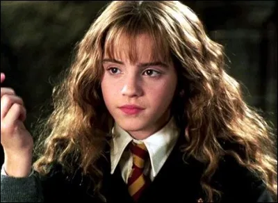 Dans "Harry Potter à l'école des sorciers", comment Hermione distrait-elle Rogue pendant le match de quidditch ?