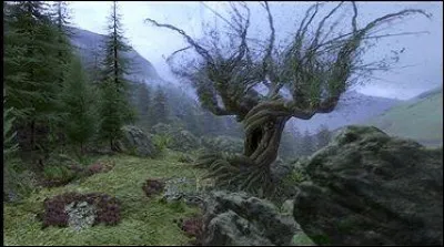 Dans "Harry Potter et le Prisonnier d'Azkaban", quel bâtiment se trouve au bout du tunnel dont l'entrée est sous le Saule cogneur ?