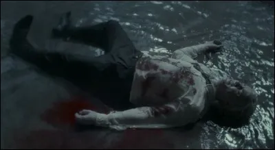 Dans "Harry Potter et le Prince de sang-mêlé", qu'y a-t-il d'écrit à côté du sortilège de Sectumsempra, dans le livre de potions de Harry ?