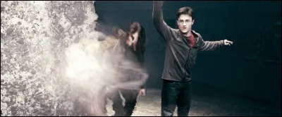 "Protego" permet de...