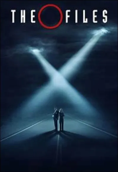 Quelle est cette série ?