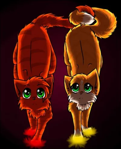 Avec qui Étoile de Feu a-t-il eu deux chattes ?