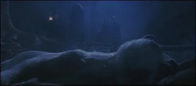 1re apparition : L'École des sorciers 
Lieu d'origine : Forêt d'Europe du nord 
Dangerosité : Dangereux, exige une connaissance spécifique.
Caractéristiques : Puissants pouvoirs, créature pure, son sang est un élixir de vie, menacée car convoitée. 
Vu : Morte dans la forêt interdite 
Qui est-ce ?