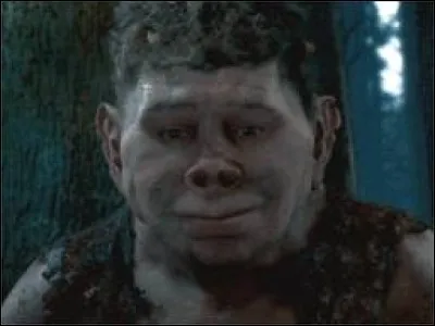 1re apparition : L'Ordre du phénix 
Lieu d'origine : Non précisé 
Dangerosité : Peut être dangereux 
Caractéristiques : Gigantesque, violent, se bat avec ses semblables. 
Représentant : Graup
Qui est-ce ?