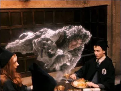 1re apparition : L'École des sorciers 
Lieu d'origine : Partout 
Dangerosité : Inoffensif 
Caractéristiques : Varié, peut traverser des objets solides, sens altérés, ne s'entend pas avec ses semblables. 
Représentant : Le baron sanglant 
Qui est-ce ?