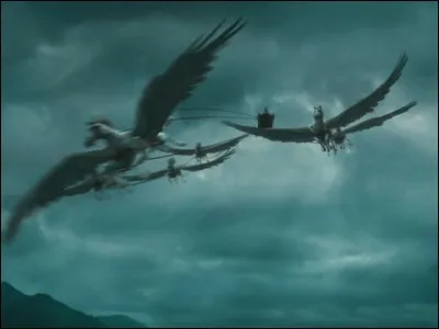 1re apparition : La Coupe de feu 
Lieu d'origine : Le monde entier 
Dangerosité : Inoffensif, ne pose pas de problème à un sorcier compétent. 
Caractéristiques : grand et ailé, ne boit que du whisky pur malt ; il sert d'attelage mais peut être monté. 
Vu : Tractant le carrosse de l'école de Beauxbâtons. 
Qui est-ce ?