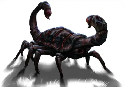 1re apparition : La Coupe de feu 
Lieu de vie : Non précisé 
Dangerosité : Peut être dangereux. Nécessite des connaissances spécifiques. 
Caractéristiques : Beaucoup de pattes, pas de tête, sent le poisson pourri, peut exploser à tout moment. 
Vu : Labyrinthe du Tournoi des trois sorciers 
Qui est-ce ?