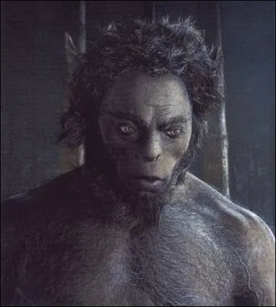 1re apparition : L'École des sorciers 
Lieu d'origine : Les forêts d'Europe 
Dangerosité : Dangereux, exige une connaissance spécifique. 
Caractéristiques : Corps de cheval, vit en groupe, très intelligent, passionné d'astres. 
Représentant : Firenze 
Qui est-ce ?