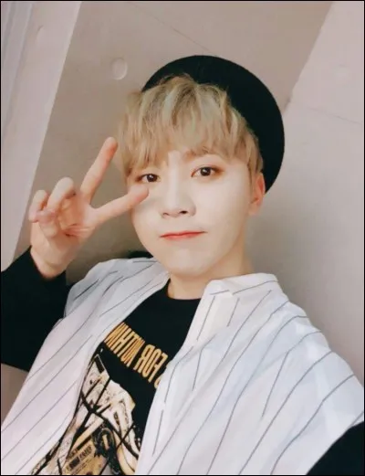 De quelle unité du groupe Seventeen fait partie Seungkwan ?