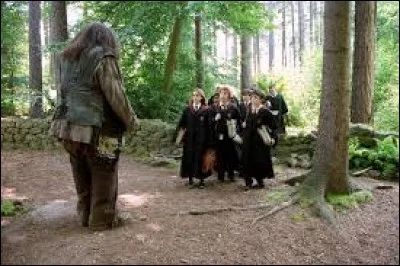 Cours dispensé par Hagrid, puis par Wilhelmina Gobe-Planche, ils se déroulent près de la cabane d'Hagrid ou dans la Forêt interdite. Scroutt à pétard, Hippogriffe ou encore Botruc y seront étudiés. « Le Monstrueux Livre des Monstres » ou encore « Les Animaux fantastiques » sont des ouvrages indispensables pour ces cours. 
De quel cours s'agit-il ?