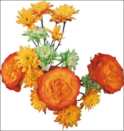 Arbre d'Amérique centrale recherché pour son bois dur, lourd et résineux.