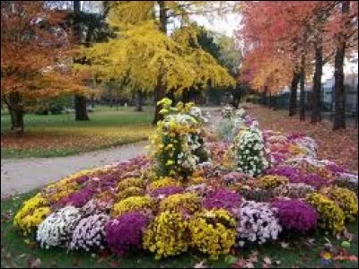 Pièce de lingerie féminine destinée à affiner la silhouette :