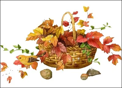 Les enfants aiment y jouer en poussant un caillou plat.