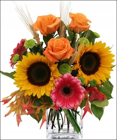 Petite flûte en bois, au son aigu :