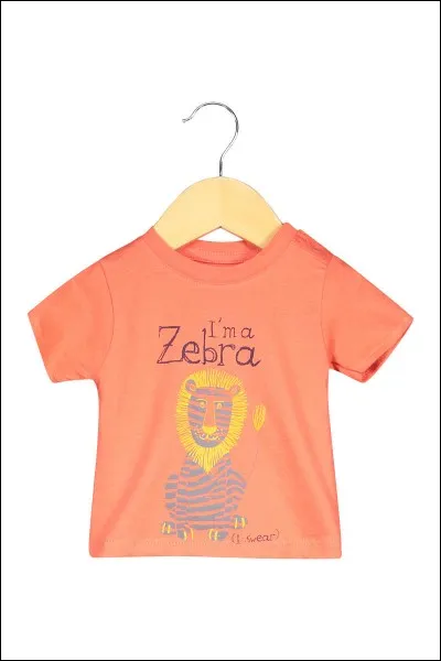 Que voudrais-tu porter ?