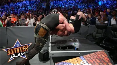 Quel est le nouveau surnom donné à Brock Lesnar par The Monster Among Men Brauunn Strauman ?