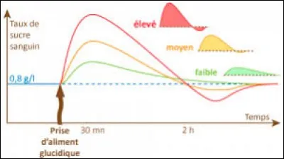 Quelle hormone régule le taux de sucre dans le sang ?