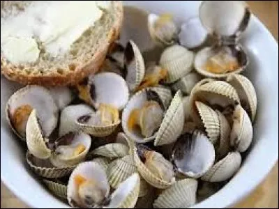 Quel est le nom de ces coquillages dont la taille réglementaire pour la prise est de 3 centimètres ?