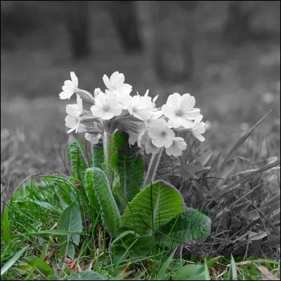 Quelle couleur ai-je effacée ?