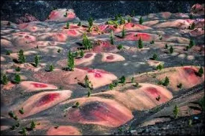 Le nom est explicite mais parlons des dunes aux teintes roses, orangées et rougeâtres rappelant un coucher de soleil, le tout parsemé de piquets verts vifs, comme ont l'air les quelques arbres qui réussissent à vivre là. C'est assez bizarre, vous ne trouvez pas ? Alors, on convient qu'on est aux...
