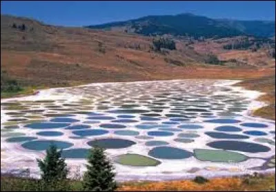 Cet étrange lac tacheté, ultra salé est ''endoréique'', c'est-à-dire qu'aucune source d'eau n'y entre ou n'en sort. Encore une fois, la nature se fait complice de merveilles : vu qu'il contient plus de minéraux que d'eau, avec l'été, l'eau s'évapore et les dépôts de minéraux colorés se cristallisent et forment des taches soit vertes, jaunes ou bleues.
Quel est ce lac tacheté ?