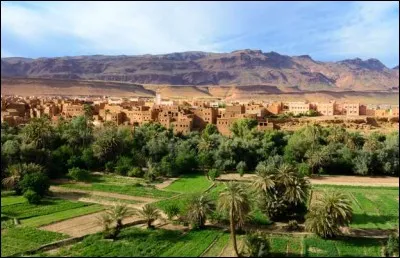 Ce grand oasis du Todgha s'étend sur 30 km. La palmeraie luxuriante est un lieu touristique, des randonnées à pied, en vélo, à dos d'âne, à dos de dromadaire ou en tout-terrain sont maintenant proposées. 
On y découvre aussi toute une organisation communautaire, relativement au travail dans les champs comme dans la canalisation et la distribution de l'eau. 
Où trouverions-nous cette école de vie ?