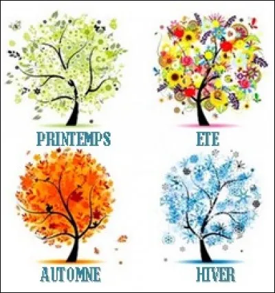 Ta saison préférée est :