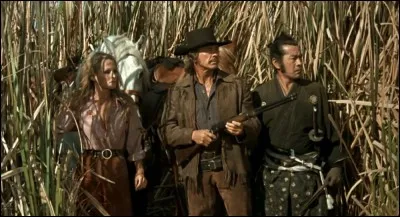 Film sorti en 1971 - Production française - Un sabre de samouraï de grande valeur offert par l'Empereur du Japon au Président des Etats Unis - L'acteur américain Charles Bronson.