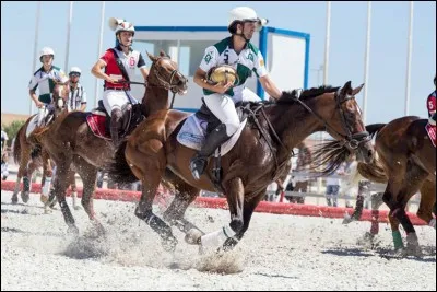 Quel est ce sport ?