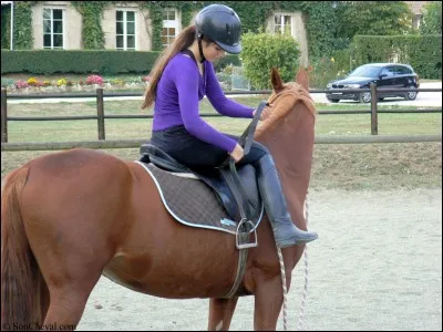 Peut-on régler les étriers à cheval ?