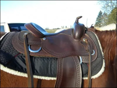 Quelle selle n'existe pas ?