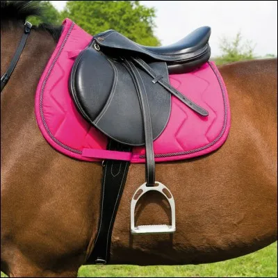 À quoi sert le tapis de selle ?