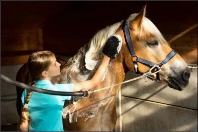 Dans quelle direction s'effectue le pansage ?