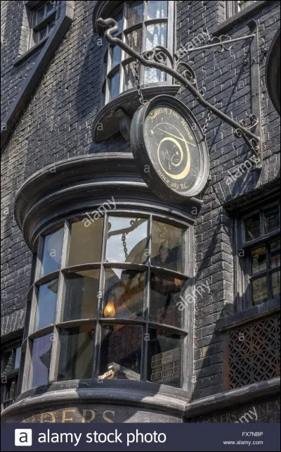 Quelle baguette va-t-il choisir chez Ollivander ?