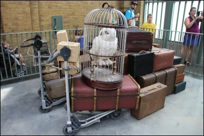 Pour quelles raisons l'oncle Vernon décide-t-il de quitter la maison ?