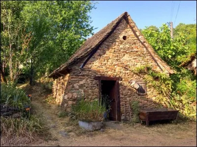 Quels événements surviennent la nuit de l'anniversaire de Harry Potter ?