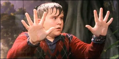 La queue de quel animal ajoute-t-il à Dudley Dursley, le cousin de Harry Potter ?