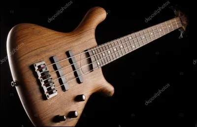 Quel chanteur bassiste interprète 'La Bourgeoisie des sensations' ?