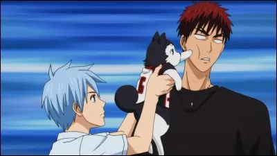 Trouves-tu cette image amusante ?