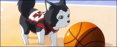 Trouves-tu cette image mignonne ?