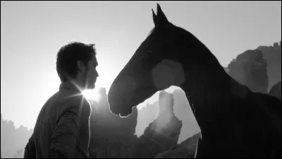 Créateur : Chanel
Style : boisé oriental
Notes : pêche, bergamote, citron, mandarine, benjoin, bois de santal, rose, géranium, vanille, fève tonka