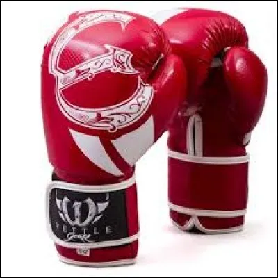 Lequel de ces trois animaux est un champion de boxe ?