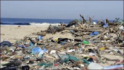 Parmi ces objets, lequel met le plus de temps à se biodégrader ?