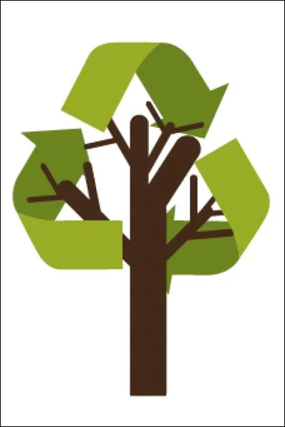 Mais lequel de ces objets ne se biodégrade jamais ?