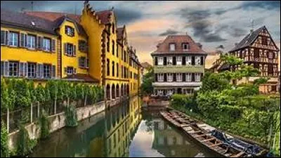 De quelle fleur la France est-elle un cultivar ?